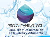 Pro Cleaning GDL