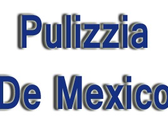 Logo Pulizzia De Mexico