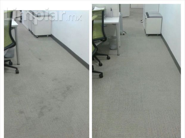 Limpieza de alfombras en oficinas