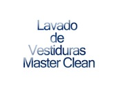 Lavado de Vestiduras Master Clean