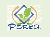 Grupo Saga Persa