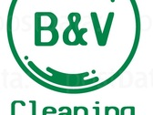 B&V Cleaning Services