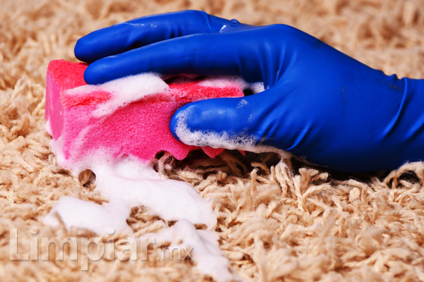 ​¿Cómo llevar a cabo la limpieza de tu alfombra?