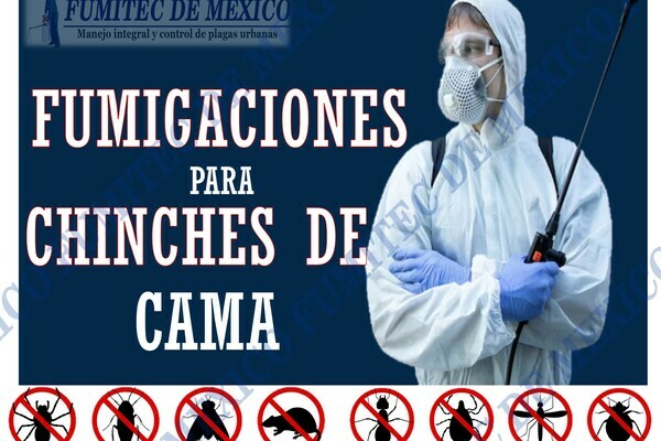 Fumigaciones para chibches de cama