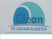 Clean de Aguascalientes