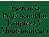 Asistencia Profesional En Limpieza Y Mantenimiento