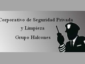 Corporativo De Seguridad Y Limpieza Grupo Halcones