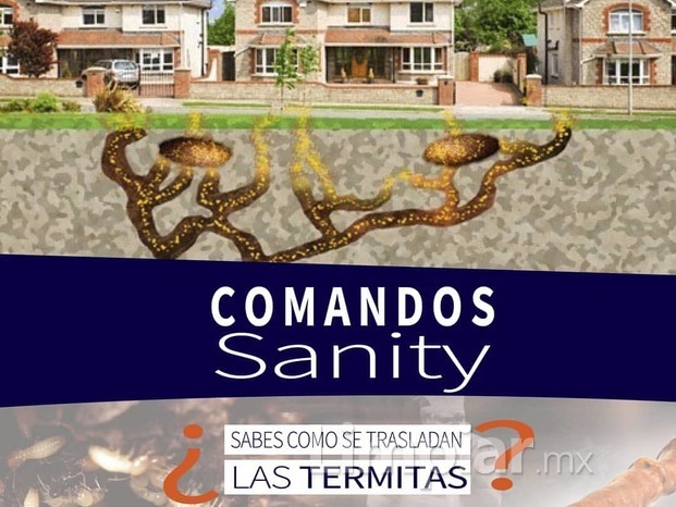 Comandos Sanity 