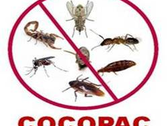 Cocopac Coordinadora De Control De Plagas En Acapulco