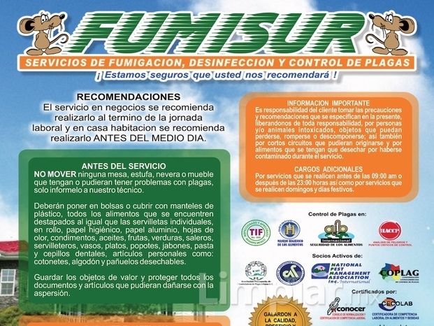 Recomendaciones FUMISUR