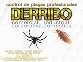 sanitizacion y Control de plagas Profecionales Derribo