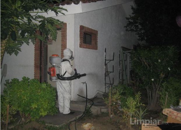 Fumigaciones en Jardines