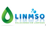 GRUPO LINMSO S.A DE C.V