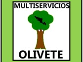 Multiservicios Olivete