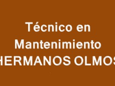 Técnico En Mantenimiento Hermanos Olmos