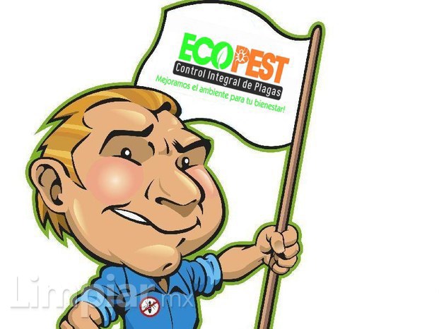 Control de Plagas en Tijuana Ecopest