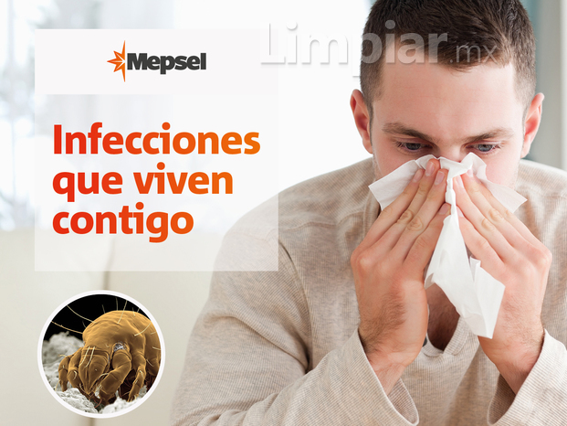 Infecciones por ácaros