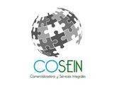 COSEIN Comercializadora y Servicios Integrales