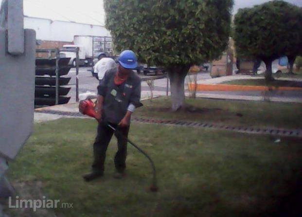 Servicio de Jardineria