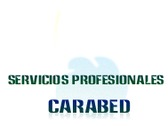 Servicios Profesionales Carabed