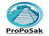 Proposak