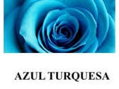 Azul Turquesa Limpieza