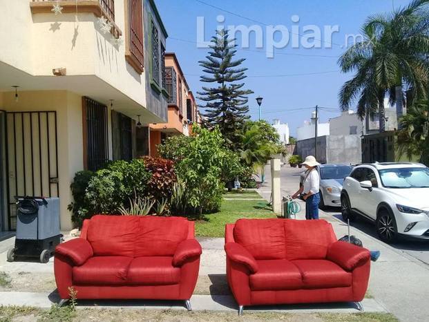 Lavado de sillones y poda de pasto