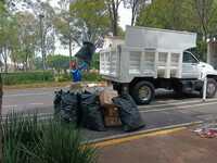 Siempre colocando la basura en su lugar,