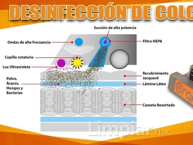 Clean Work Orange Morelia 