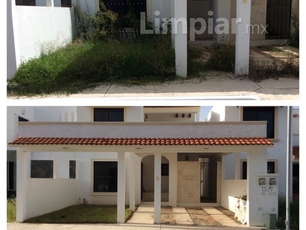 Pintura y Mantenimiento Residencial 