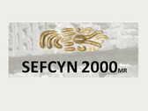 Sefcyn 2000