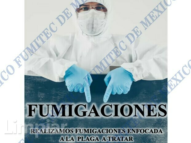 Fumigaciones paar chincehs de cama y cucarachas de cocina 