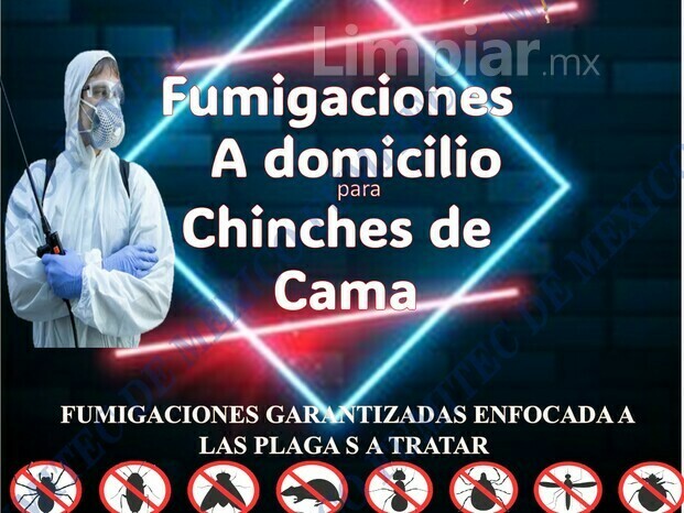 FUmigaciones Para Chinches de Cama Para Recamaras y Salas 