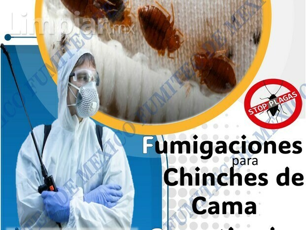 Fumigaciones A domicilio Para plagas De Casa ( chinches de cama, cuacarachas, hormigas, etc.)