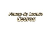 Planta de Lavado Cedros