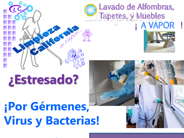 flyer-pequeño-germenes.jpg