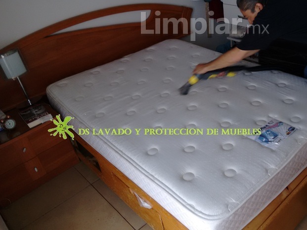 Ds Lavado Y Protección De Muebles