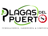 Plagas Del Puerto