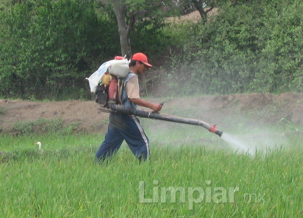 mery's fumigaciones