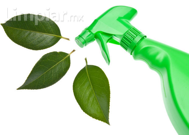 Ecoclean Service