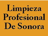 Limpieza Profesional De Sonora