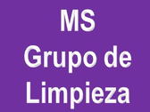 Ms Grupo De Limpieza