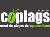 Coplags