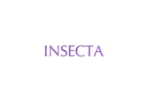 Insecta