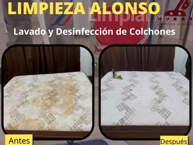 Limpieza Alonso colchones.png