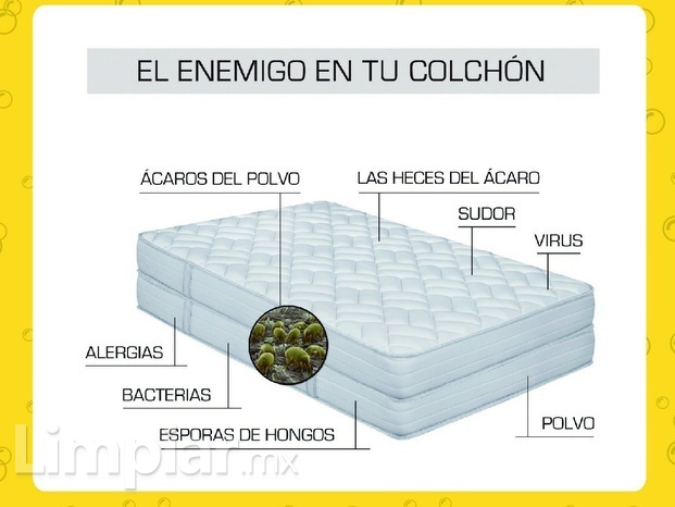 Desbacterizado de colchones