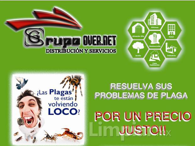 Flyer Fumigación