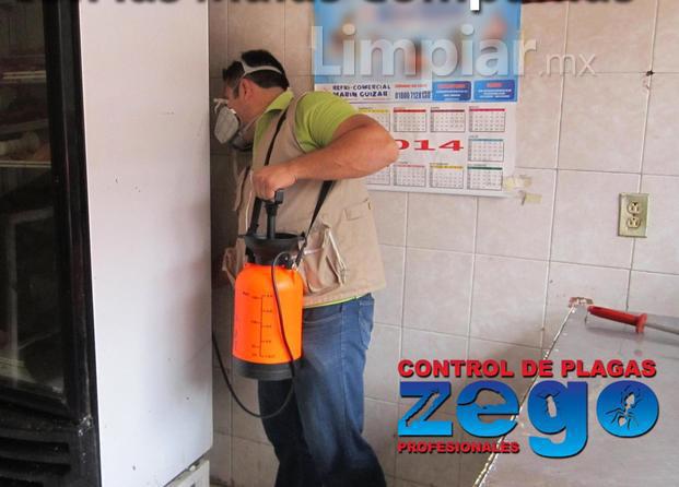 ZEGO Control De Plagas Profesionales