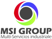 Msi Group