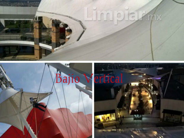 Limpieza de carpas